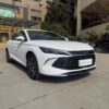 byd qinl dm i