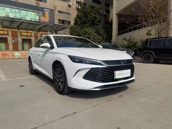 byd qinl dm i