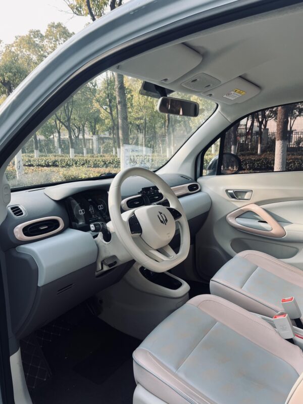 leapmotor